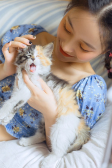 美国派5